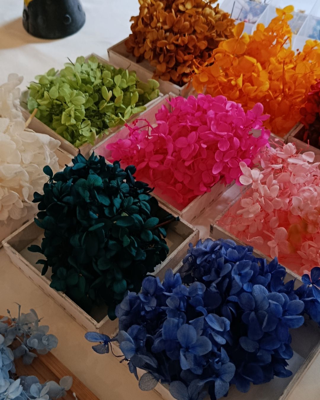 Atelier de SEPTEMBRE