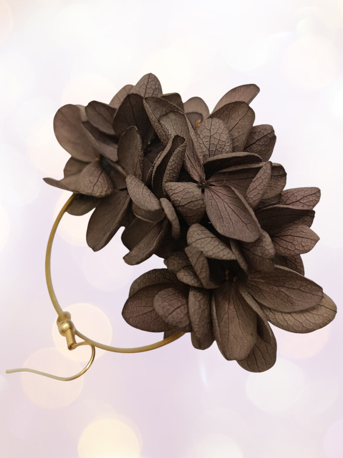 Créoles marron