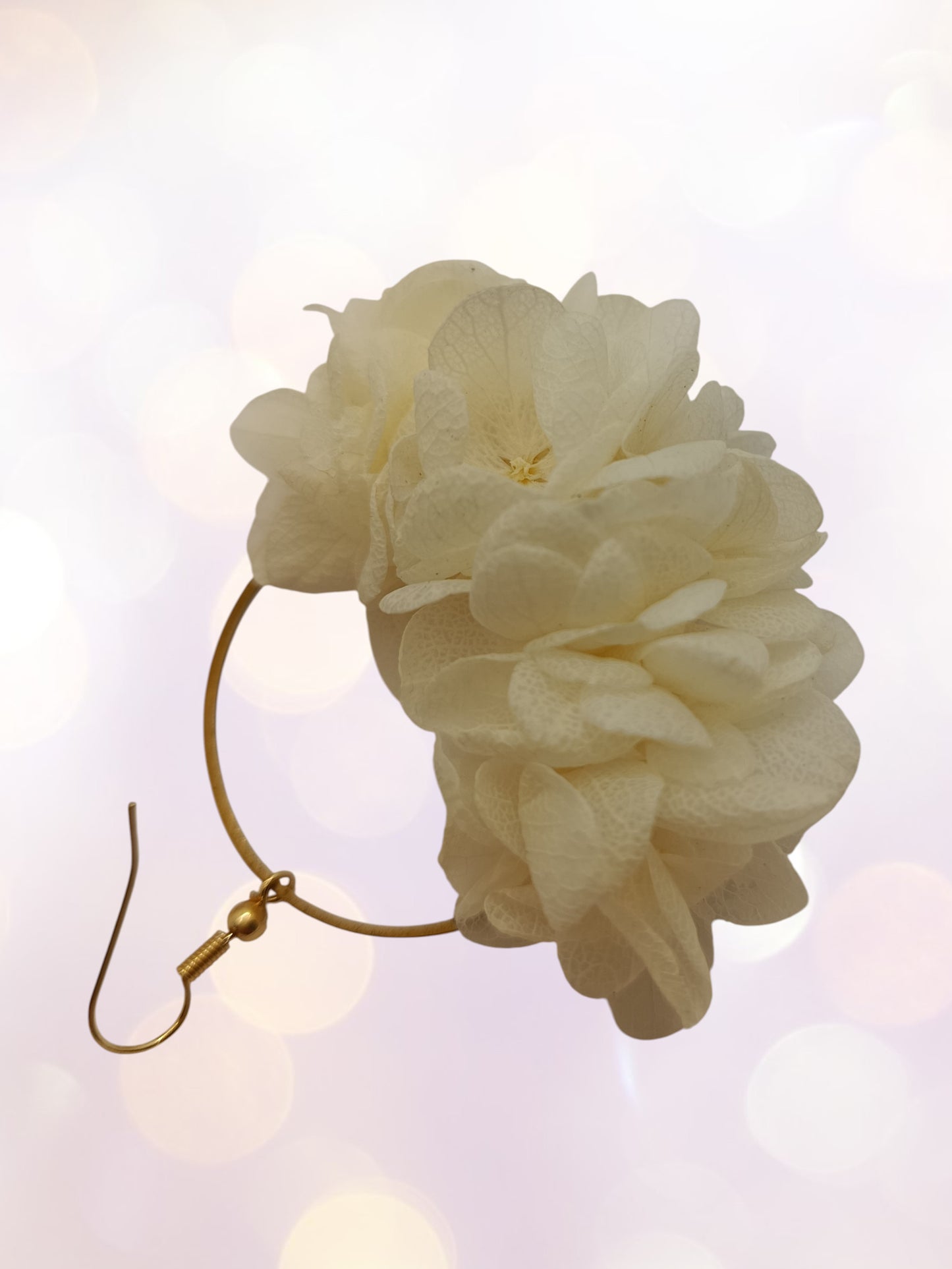Créoles blanches