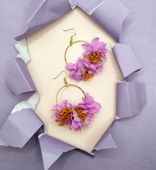 Crépuscule Ardant🔥