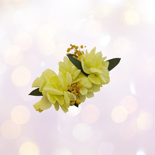 Les Croco-Fleurs barette fleurie