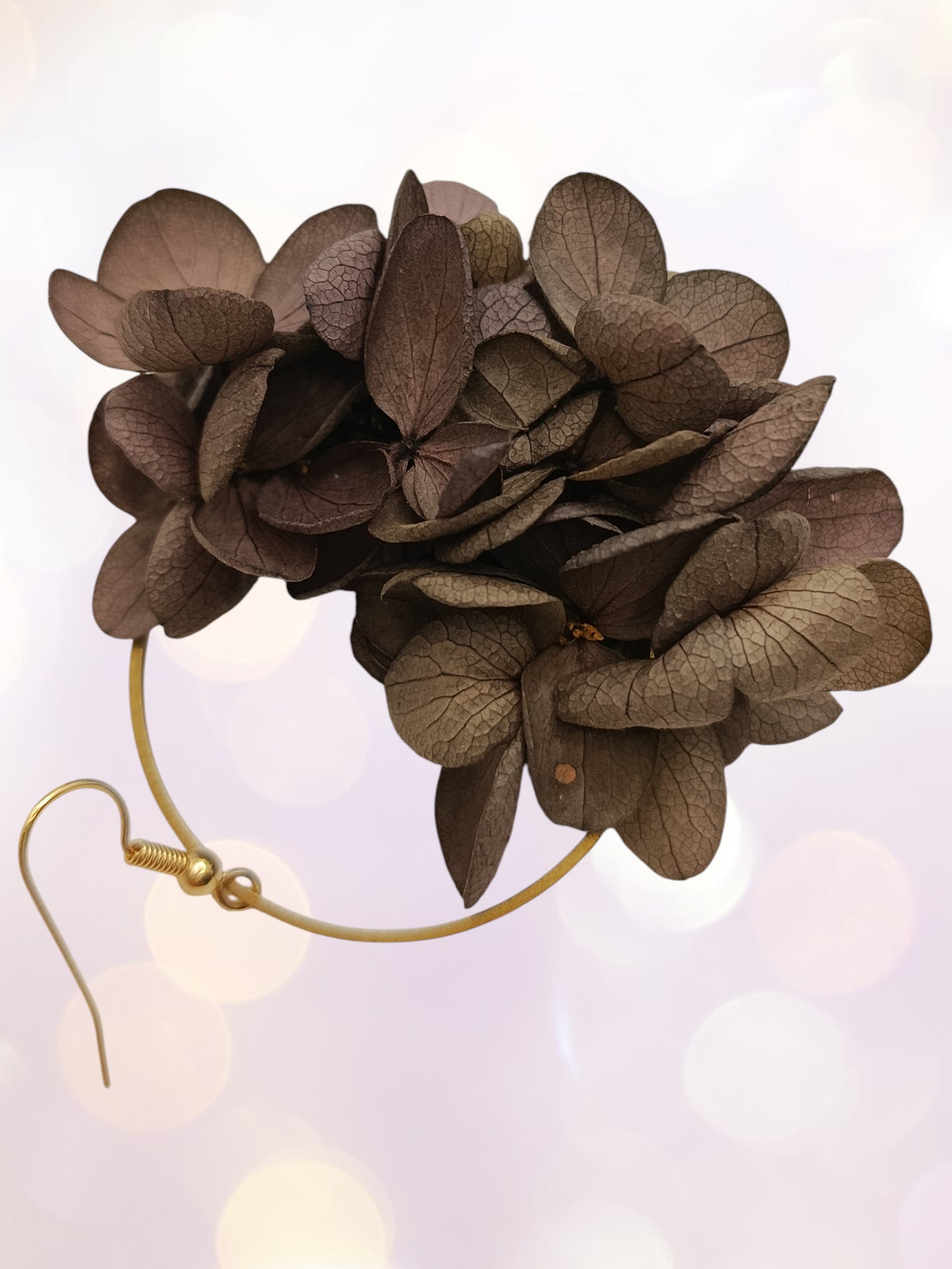 Créoles marron