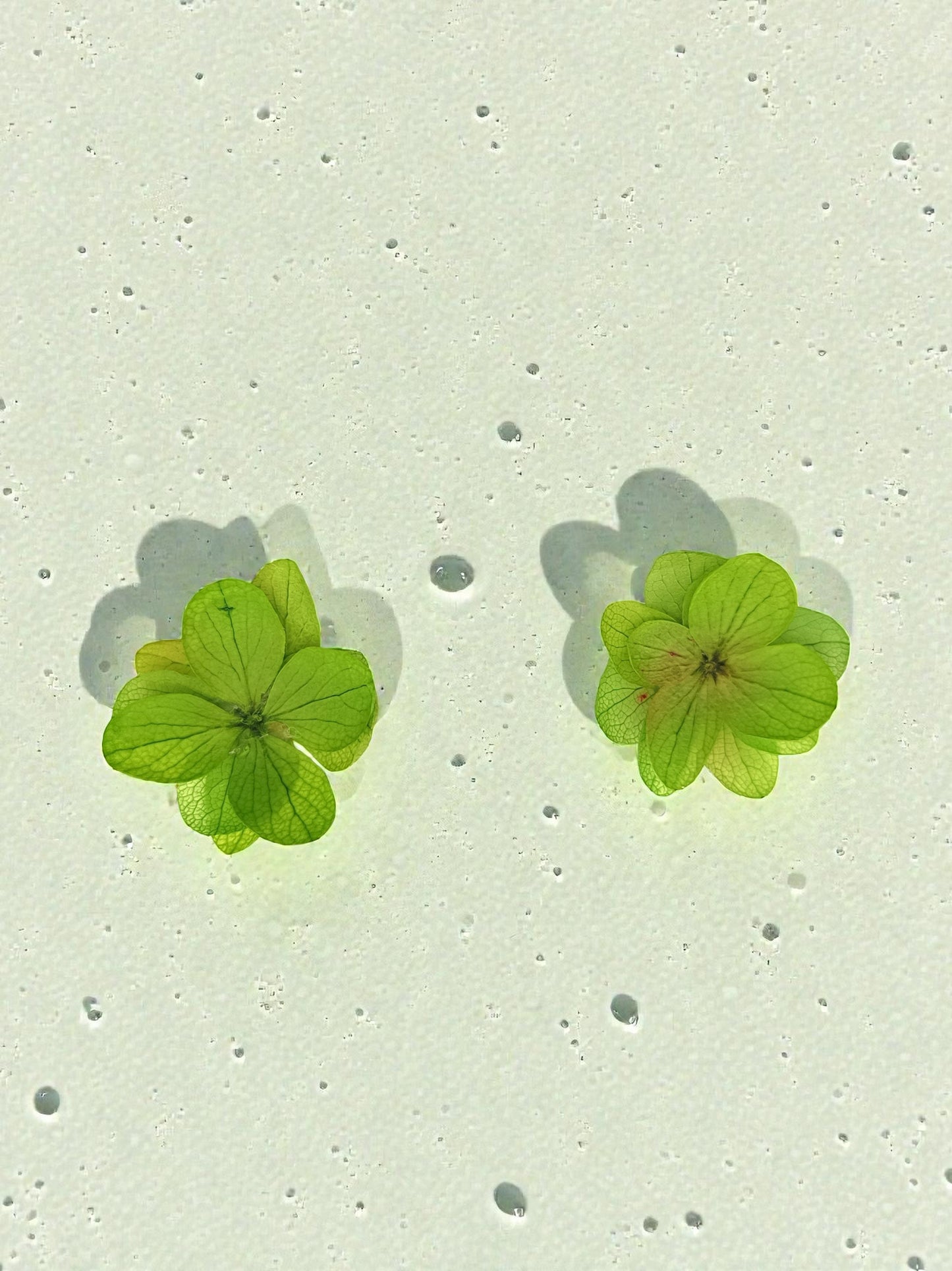 Puces fleuries divers coloris