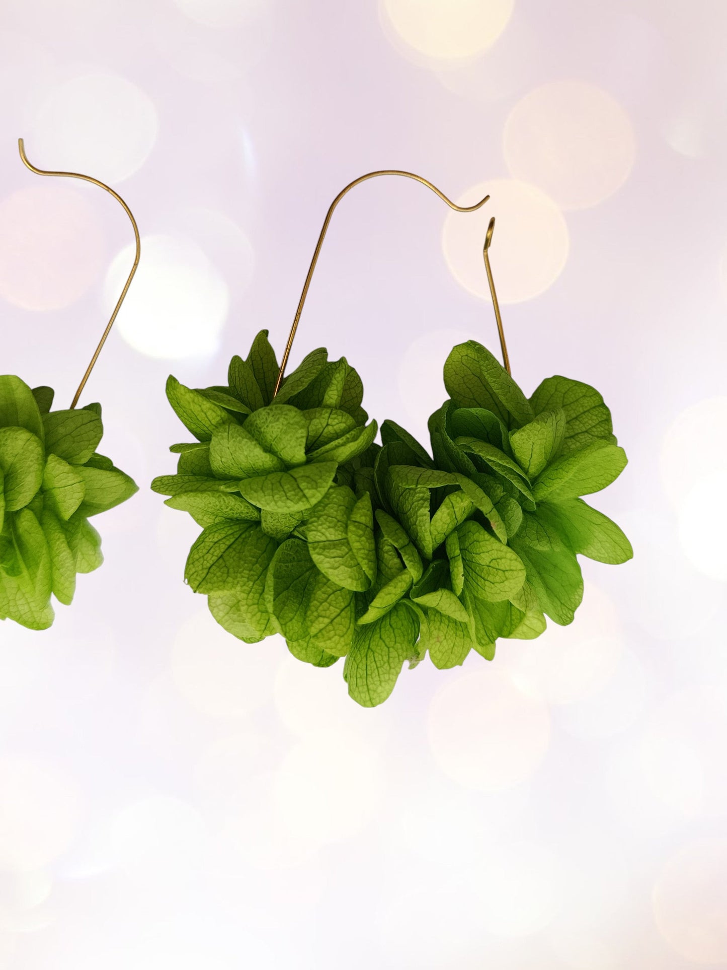 Dormeuses vertes claires